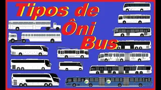 Os Tipos de Ônibus