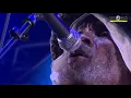 ISRAEL VIBRATION sing COOL AND CALM live @ Rototom Sunsplash 2019