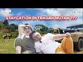 Download Lagu STAYCATION DI TENDA, TAPI NYAMAN!!