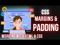 Understanding CSS Margins and Padding - Spacing Made Easy