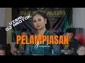 Download Lagu PELAMPIASAN (DJ NROTOK) - Novivita - Sultan Nada