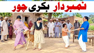 Number Daar Bakri chor ‎Funny Video | Most Comedy Funny Video | You Tv Hd 2026