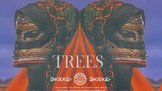 ا ل أ ش ج ار ا ل و ح يد ة Lonely Trees Acid REMIX 