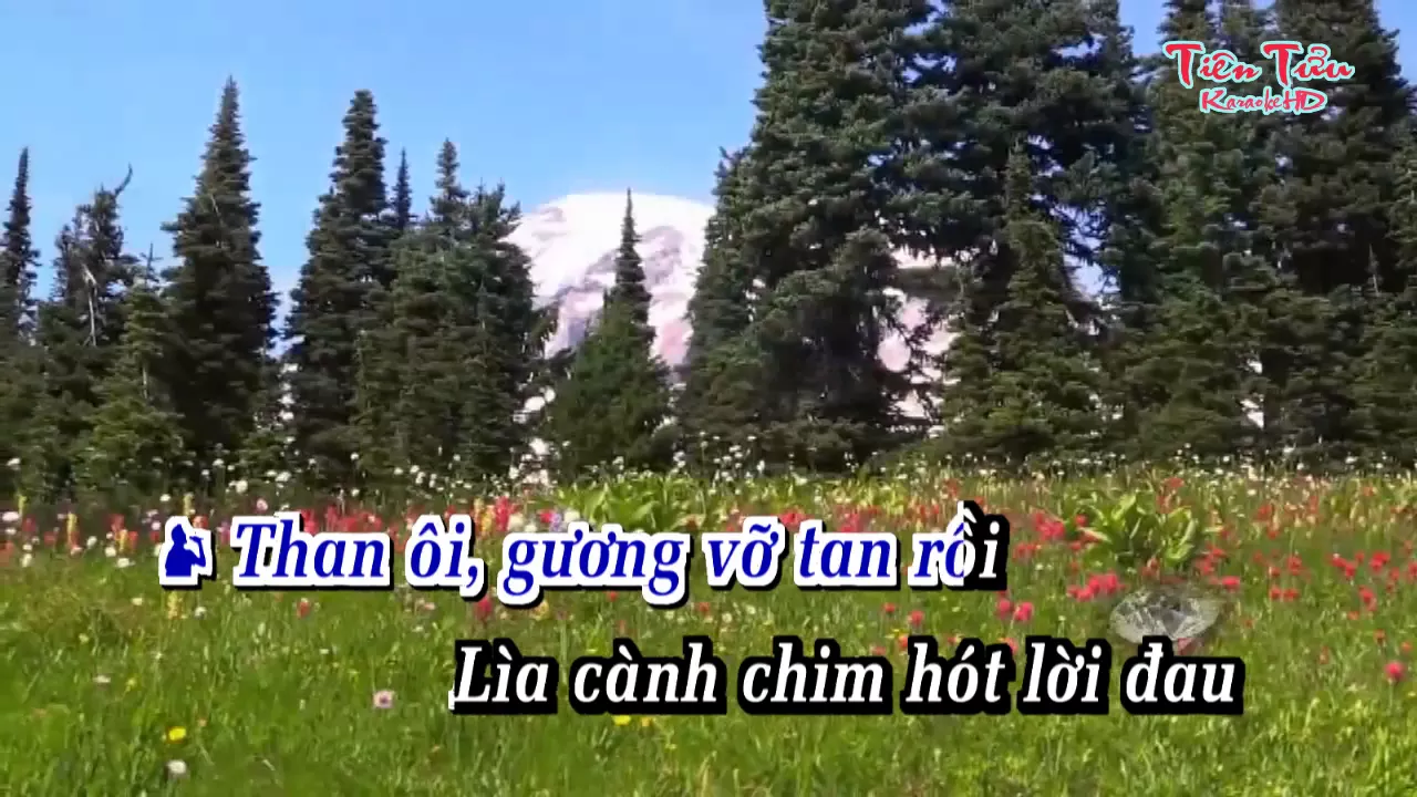 Cay Đắng Bờ Môi