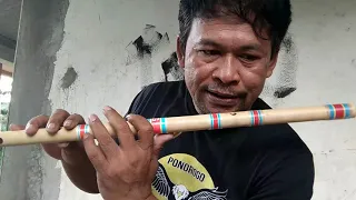 Download b| . dangdut flute test  Bamboo Hut Song |  Megi Z MP3