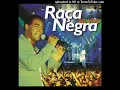 Download Lagu 10- Perdi Você (Ao Vivo) - Raça Negra