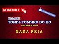 TONDI TONDIKU DO HO - STYLE VOICE || KARAOKE PRIA