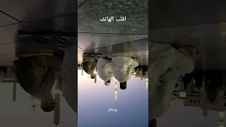 المدينة المنورة القبة الخضراء Madenah 