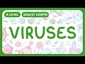 A-Level Biology - Viruses Structure of Viruses exmas