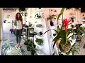 Find unique house plants at this hot yoga studio