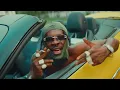 Shatta Wale, Dj Mac, Crashdummy - Danger (Official Music Video ) | WYFL RIDDIM