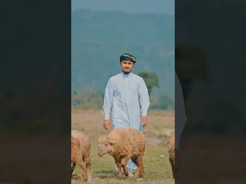 তাওহিদ জামিলের সেরা একটি গজল । Tawhid Jamil #gojol #tawhidjamil #music #nasheed