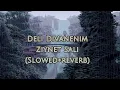 Ziynet Sali-Deli Divanenim (Slowed+reverb) 👋☘️
