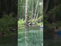 Inner-tubers have close encounter with alligator on Florida river ABC News