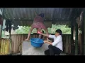 Download Lagu FULL VIDEO A lonely pregnant girl gives birth in aremote place and is luckily rescued by akind man