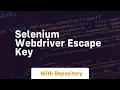 selenium webdriver escape key