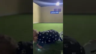 كيوت منسدح على بطنه ويكتب Shorts يوميات شفا مشيع عائلة مروان ريان 