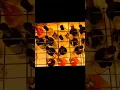Antica Bottega Wine Tasting Florence Italy