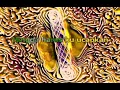 Download Lagu Nafa Urbach - Tiada Dusta Dihatiku (Lirik)