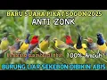 Download Lagu SUARA PIKAT SOGON ANTI ZONK | KOMBINASI BURCIL RIBUT 2025