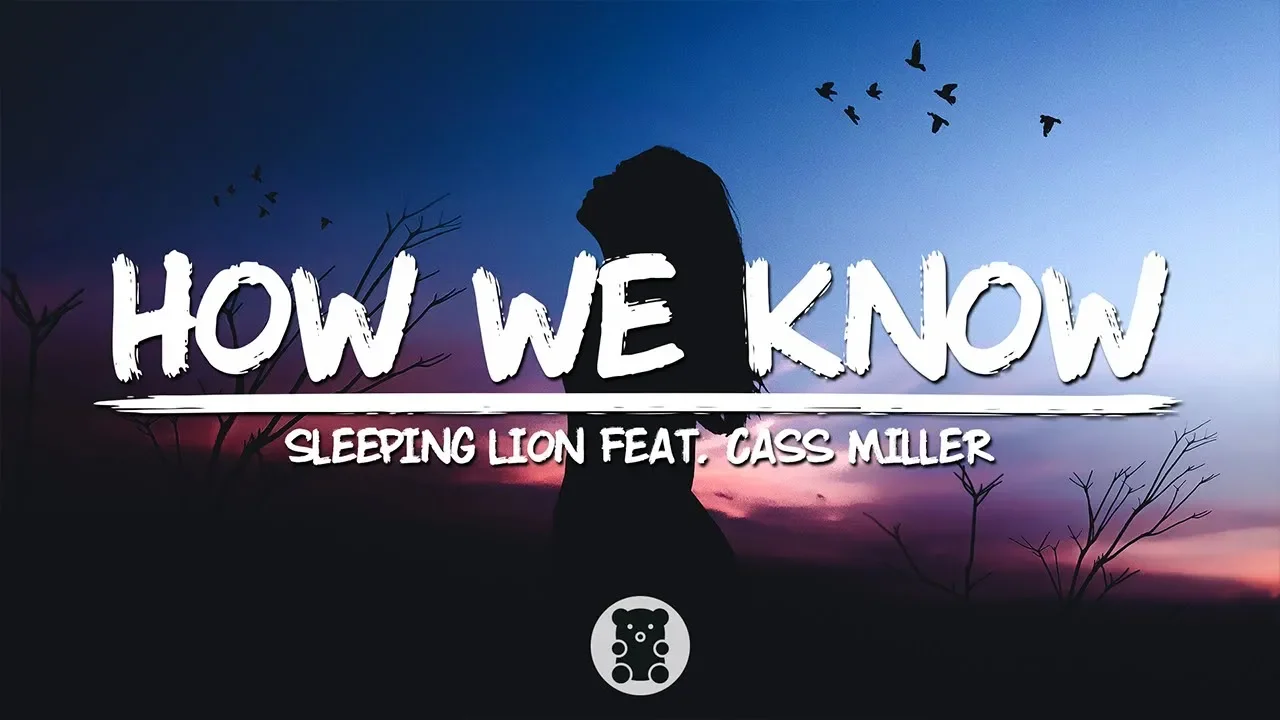 Sleeping Lion - How We Know (feat. Cass Miller) (Lyrics Video)