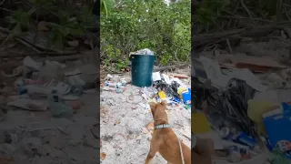 EXISTING on a sailboat in the city #trashy