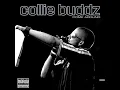 lil wayne and collie buddz come around remix