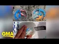 3 free ways to create endless summer fun for kids l GMA