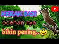 Download Lagu kerak basi sulawesi_ciko ciko_pote pote_borok cikrok