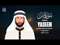 Download Lagu Surah Yaseen | Sheikh Abdallah Humeid | Translated Quran Recitation | Mahdee Hasan Studio