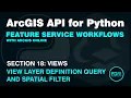 Apply Attribute and Spatial Filters to View Layers in ArcGIS Online using the ArcGIS API for Python