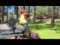 What are people saying about Antiques in Pinetop-Lakeside Arizona Ladies Are Shopping Valentus