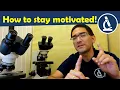 How to stay motivated in hobby microscopy Amateur Microscopy
