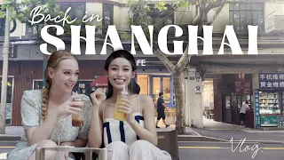 旅行记录：探索上海仿品市场的秘密与老街日常