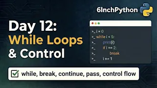 Python While Loops Masterclass break continue and Building Interactive Programs