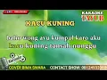 Kacu kuning - karaoke tayub Tulungagung