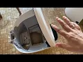 How to Remove the Litter Hopper to Clean the Litter-Robot 4