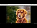 Learn to create Image Slider in HTML5 CSS3 and JQuery - learn jQuery