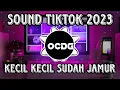 Lagu DJ Kecil Kecil Sudah Jadi Jamur Janda Janda Di Bawah Umur | DJ JAMUR 2023 FYP TIKTOK