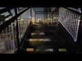 DownTown by Beer Tree Brew Binghamton New York