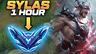 How To Play Sylas in Low Elo - Sylas Unranked To Diamond | Build & Runes