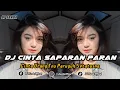 Download Lagu DJ CINTA SAPARAN PARAN | REMIX SUNDA TERBARU FULL BASS 2023 (DJ SUNDA Remix)