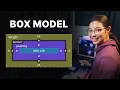 CSS box model explained padding border margin