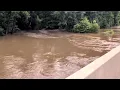 Tchefuncte River rises fast as flooding hits Folsom roads