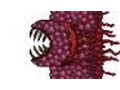 Terraria - wall of flesh vs holy hand grenade