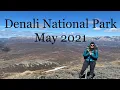 Denali National Park May 2021