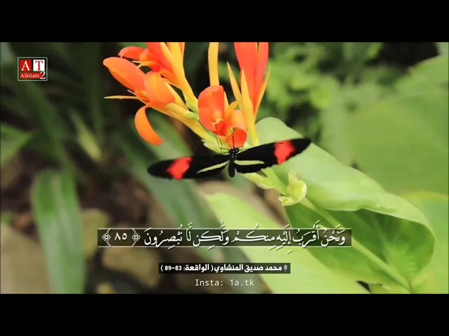 ⁣فَلَوْلَا إِذَا بَلَغَتِ الْحُلْقُومَ .. || مقطع رهيب 💚 .. الشيخ محمد صديق المنشاوي رحمه الله