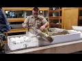 ANGRY SNAKE with TONs of Eggs