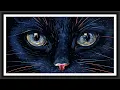 4K Black Cat Eyes TV Screensaver 9 Hour Dramatic Art No Sound