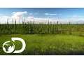 The Last Alaskans Extended Trailer